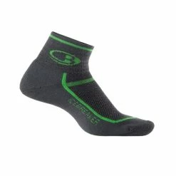 Chaussettes Icebreaker Hommes Multisport Light Mini - Noir